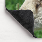 Funny Goat Parody, Cute Goat Kind Muismat (Hoek)