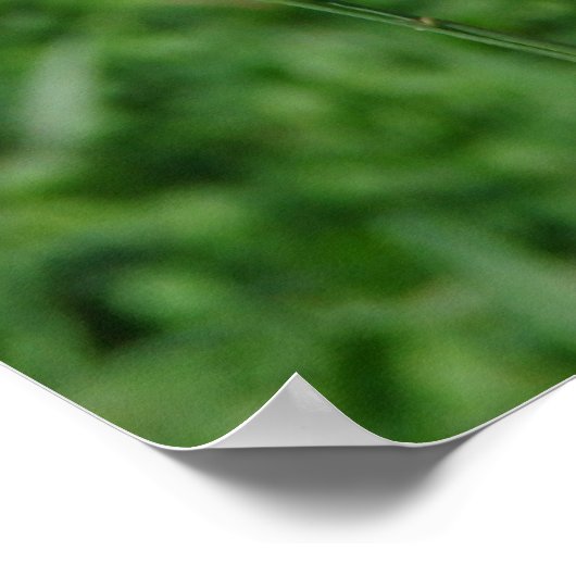 Funny Goat Parody, Cute Goat Kind Poster (Hoek)