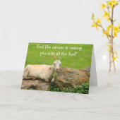 Funny Goats Cancer Support Card Kaart (Gele Bloem)