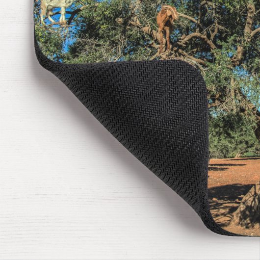 Funny Goats in Trees Marokko Muismat (Hoek)