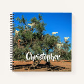 Funny Goats in Trees Marokko Persoonlijke naam Notitieboek (Voorkant)