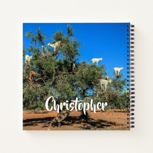 Funny Goats in Trees Marokko Persoonlijke naam Notitieboek (Achterkant)