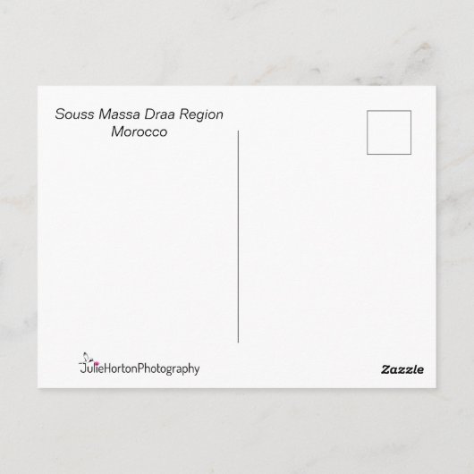 Funny Goats in Trees Marokko Souvenir Briefkaart (Achterkant)