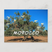 Funny Goats in Trees Marokko Souvenir Briefkaart (Voorkant)