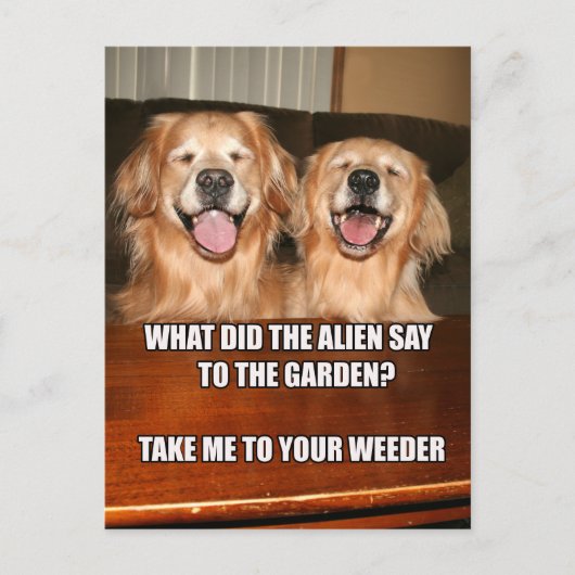 Funny Golden Retriever Alien Joke Meme Briefkaart (Voorkant)
