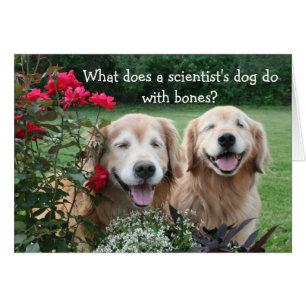 Funny Golden Retriever Barium Scientist Joke