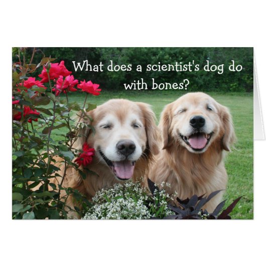 Funny Golden Retriever Barium Scientist Joke (Voorkant Horizontaal)