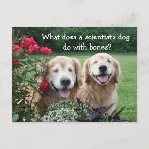 Funny Golden Retriever Barium Scientist Joke Briefkaart