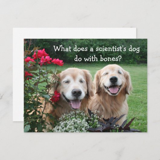 Funny Golden Retriever Barium Scientist Joke Briefkaart (Voorkant / Achterkant)