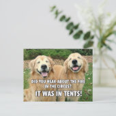 Funny Golden Retriever Circus Fire Joke Briefkaart (Staand voorkant)