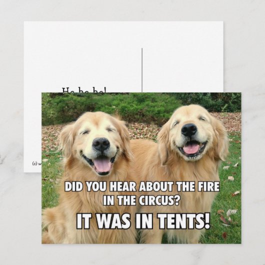 Funny Golden Retriever Circus Fire Joke Briefkaart (Voorkant / Achterkant)