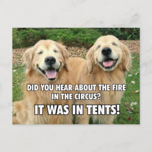 Funny Golden Retriever Circus Fire Joke Briefkaart