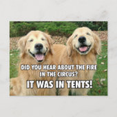 Funny Golden Retriever Circus Fire Joke Briefkaart (Voorkant)