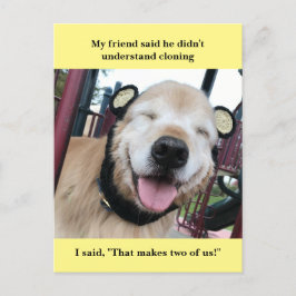 Funny Golden Retriever Cloning Joke Meme Briefkaart