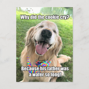 Funny Golden Retriever Cookie Joke Meme Briefkaart