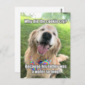 Funny Golden Retriever Cookie Joke Meme Briefkaart (Voorkant / Achterkant)