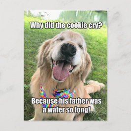Funny Golden Retriever Cookie Joke Meme Briefkaart