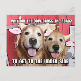 Funny Golden Retriever Cow Joke Briefkaart