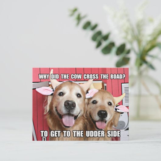 Funny Golden Retriever Cow Joke Briefkaart (Staand voorkant)