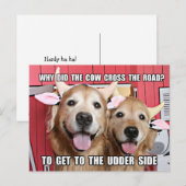 Funny Golden Retriever Cow Joke Briefkaart (Voorkant / Achterkant)