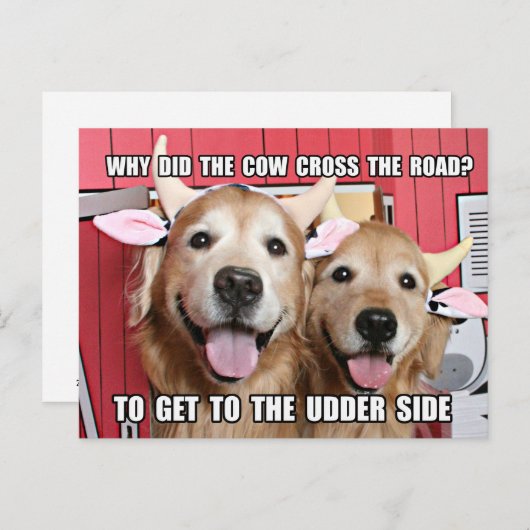 Funny Golden Retriever Cow Joke Briefkaart (Voorkant / Achterkant)