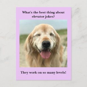 Funny Golden Retriever Dog Elevator Joke Briefkaart