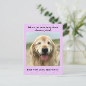 Funny Golden Retriever Dog Elevator Joke Briefkaart (Staand voorkant)