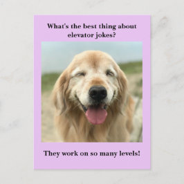 Funny Golden Retriever Dog Elevator Joke Briefkaart