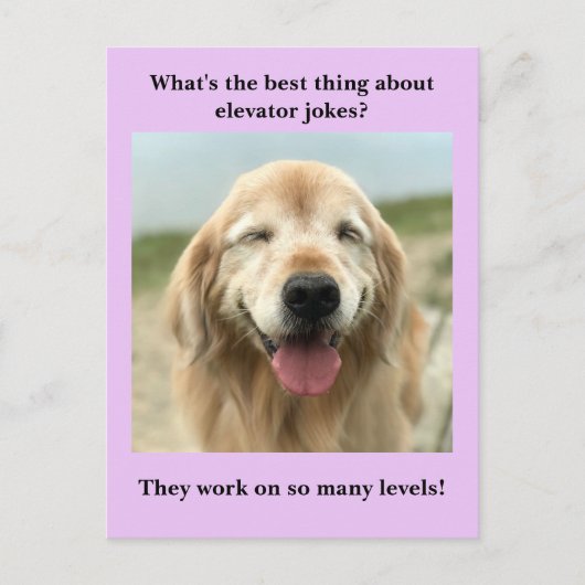 Funny Golden Retriever Dog Elevator Joke Briefkaart (Voorkant)