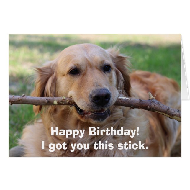 Funny Golden Retriever Dog Humor Happy Birthday (Voorkant Horizontaal)