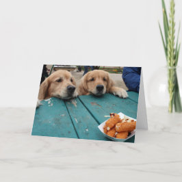 Funny Golden Retriever Dogs Birthday Wishes Kaart
