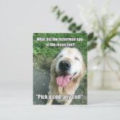 Funny Golden Retriever Fisherman Joke Meme Briefkaart (Staand voorkant)
