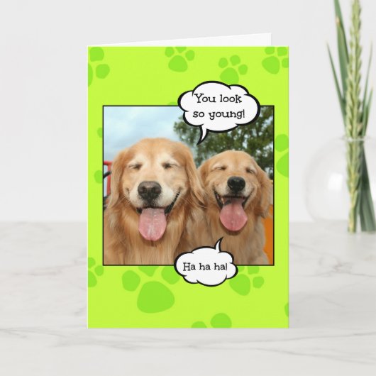 Funny Golden Retriever Golden Oldie Birthday Kaart (Voorkant)