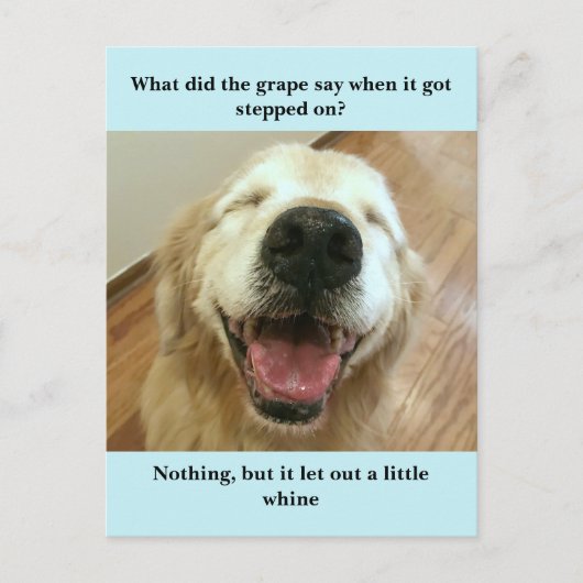 Funny Golden Retriever Grape Joke Meme Briefkaart (Voorkant)