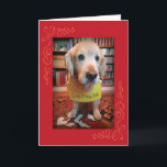 Funny Golden Retriever Guilty Pleasures Birthday Kaart<br><div class="desc">Een Golden Retriever,  betrapt op de daad van het eten van een boek,  maakt een perfecte verjaardagswens (in overeenstemming met de laatste trend van het schamen van honden). Er zijn geen honden gewond geraakt bij het maken van deze kaart...  maar één boek. Sorry,  Moby Dick.</div>