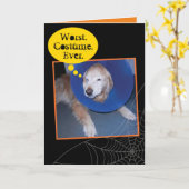Funny Golden Retriever Halloween Cone of Shame Kaart (Gele Bloem)