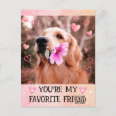 Funny Golden Retriever ik wil jullie Valentijnsdag Feestdagenkaart (Voorkant)