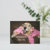 Funny Golden Retriever in Robe Quarantine Joke Briefkaart (Staand voorkant)