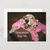 Funny Golden Retriever in Robe Quarantine Joke Briefkaart (Voorkant / Achterkant)