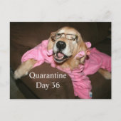 Funny Golden Retriever in Robe Quarantine Joke Briefkaart (Voorkant)