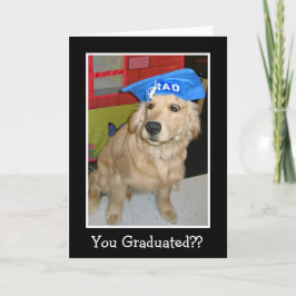 Funny Golden Retriever Je hebt gestudeerd aan Afst Kaart