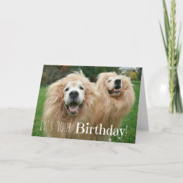 Funny Golden Retriever Lion Dogs Birthday Kaart