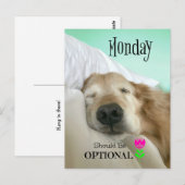 Funny Golden Retriever Maandag moet optioneel zijn Briefkaart (Voorkant / Achterkant)