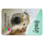 Funny Golden Retriever Maandag moet optioneel zijn Magneet (Horizontaal)