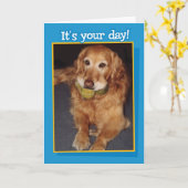 Funny Golden Retriever met Balls Birthday Kaart (Gele Bloem)