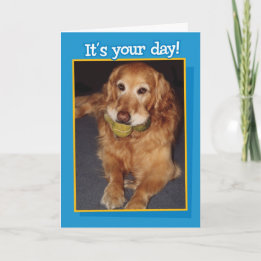 Funny Golden Retriever met Balls Birthday Kaart