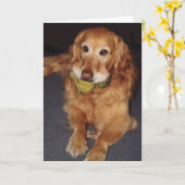 Funny Golden Retriever met Balls Birthday Kaart (Gele Bloem)