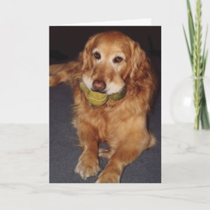 Funny Golden Retriever met Balls Birthday Kaart