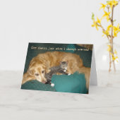 Funny Golden Retriever met Kitten Birthday Kaart (Gele Bloem)