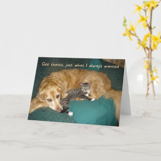 Funny Golden Retriever met Kitten Birthday Kaart (Gele Bloem)